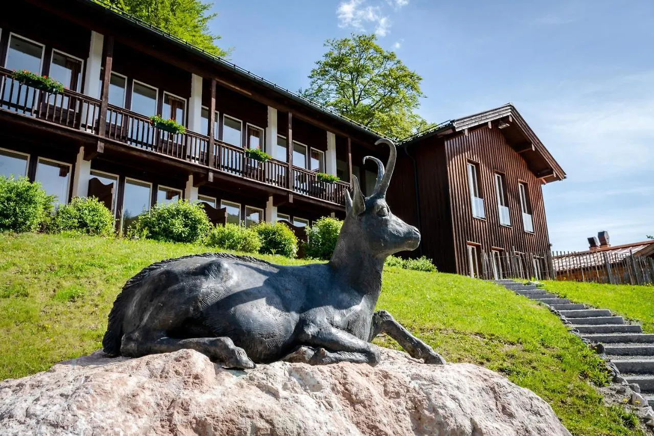 Berghotel Sudelfeld Bayrischzell Hotel